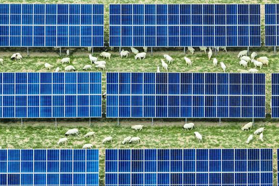 我国单体容量最大采煤沉陷区光伏基地并网发电